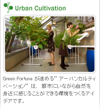Urban Cultivation