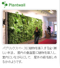 Plantwall